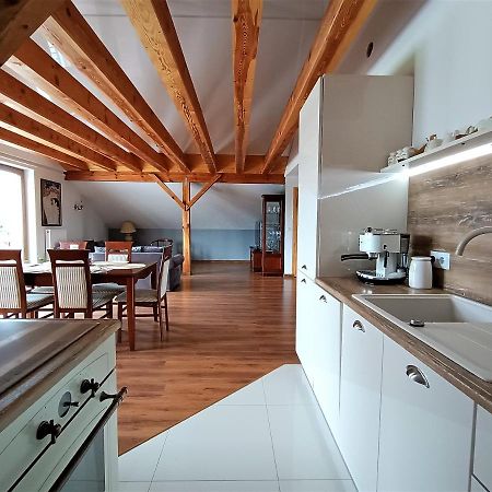 Barytowy Apartament Tarnowskie Góry Dış mekan fotoğraf