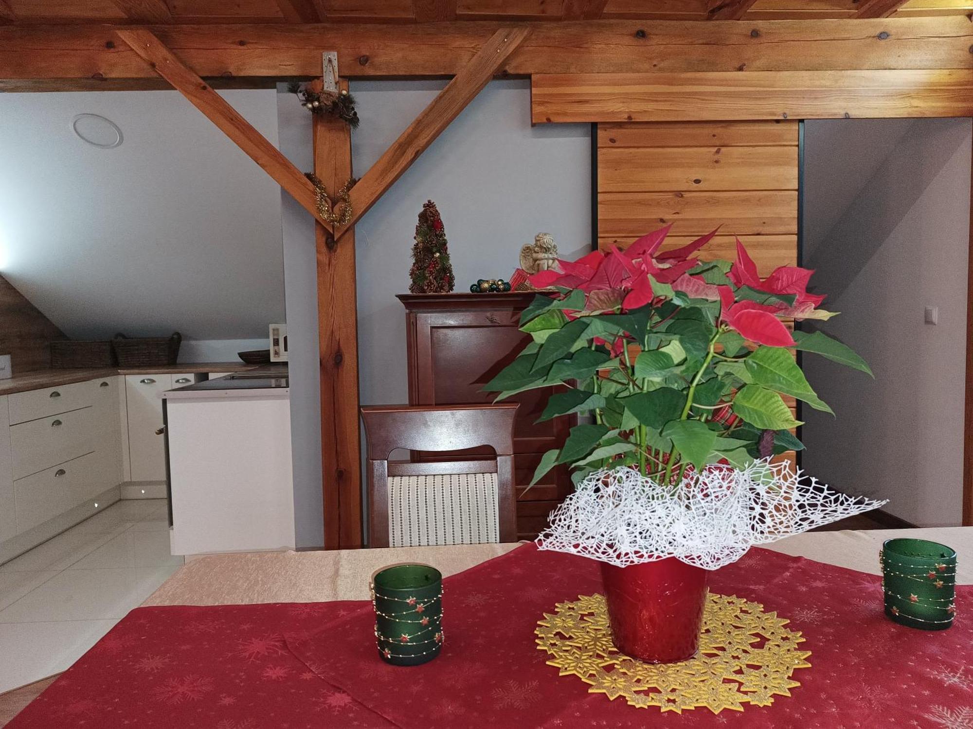 Barytowy Apartament Tarnowskie Góry Dış mekan fotoğraf