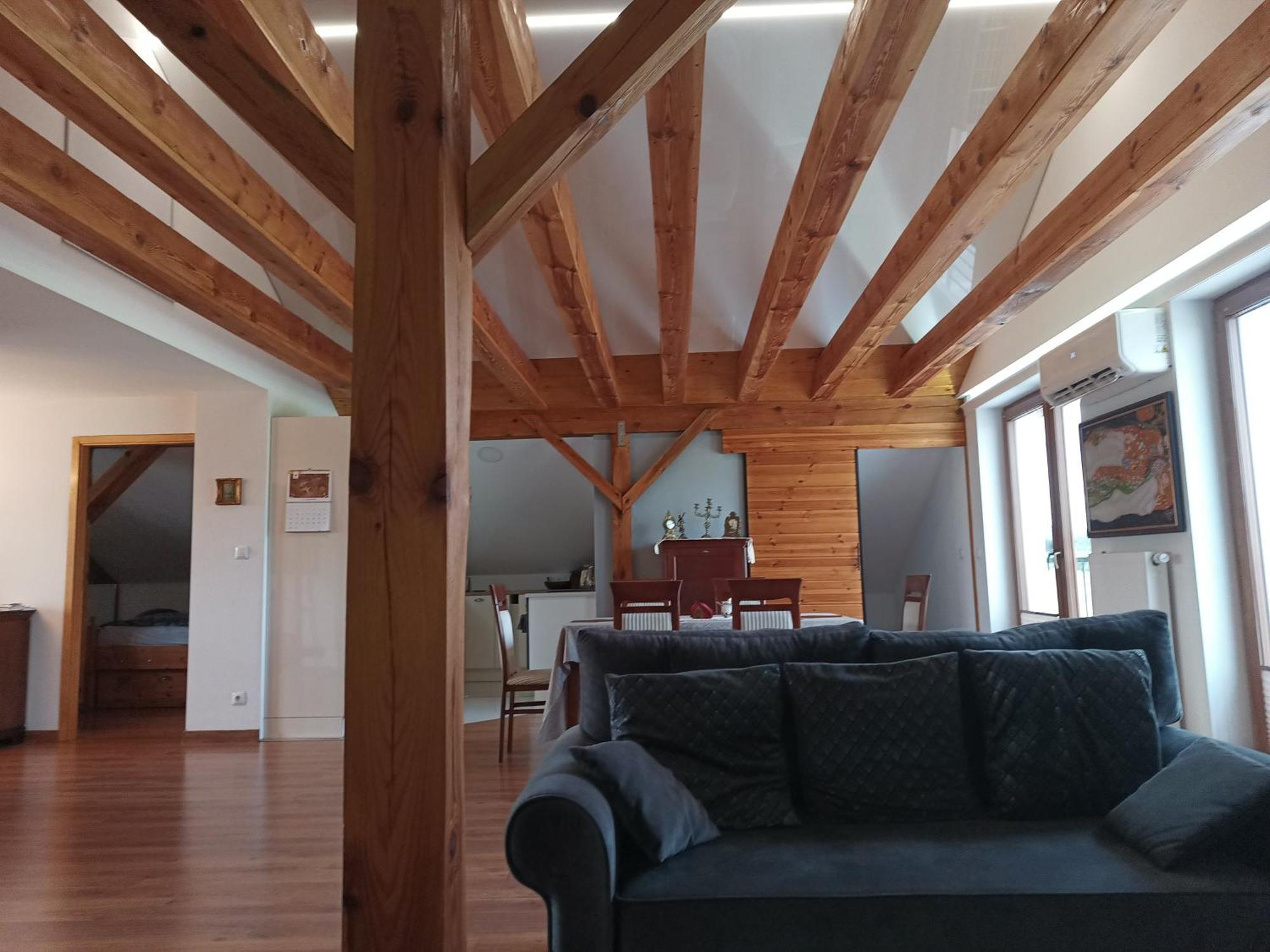 Barytowy Apartament Tarnowskie Góry Dış mekan fotoğraf
